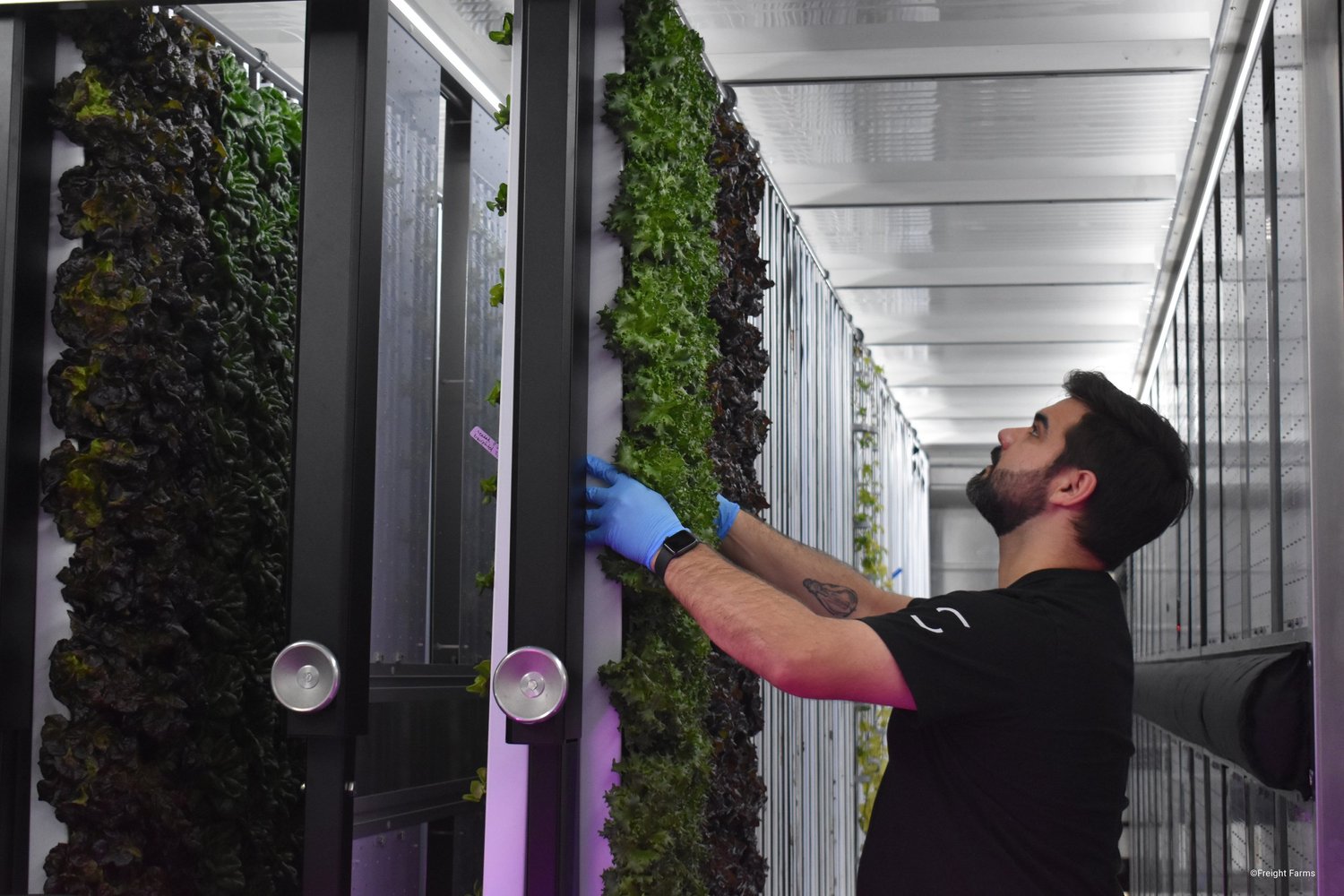 A technician tending vertical crops inside a Freight Farms container farm